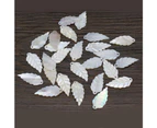 20Pcs Natural Freshwater White Shell Pendant Leaf-Shaped Loose Beads For Jewelry Making DIY Necklace Earrings Accessory