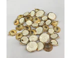 3PCS Shell Pendant Accessory for Jewelry Making Charms DIY Necklace Anklet Sewing Craft Accessory