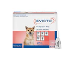 Evicto Spot On Flea & Worm Treatment for Large Dogs 20.1-40kg Pink 4 Pack (OB**)