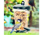 Hanging Bird Feeder Peanut Food Container Garden Automatic Feeding Tool Supply-Green