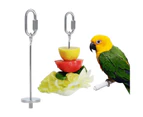 Portable Parrot Stainless Steel Fruit Fork Spear Stick Meat Skewer Bird Feeder-S