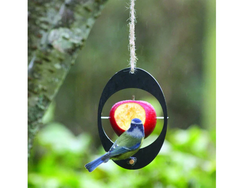 Bird Feeder Eco Recycled Hanging Acrylic Fruit Vegetable Holder Hummingbird Feeder for Parrot