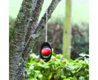 Bird Feeder Eco Recycled Hanging Acrylic Fruit Vegetable Holder Hummingbird Feeder for Parrot