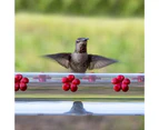 Red Long Tube Bird Hummingbird Food Hanging Feeder for Yard-Transparent 40cm