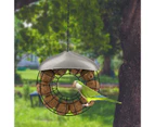 Bird Feeder with Lanyard Washable Windproof Large Capacity Heavy Duty Feeding Metal Frame Squirrel Proof Bird Feeder Tray for Backyard-Black