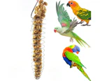 Portable Stainless Steel Spiral Feeder Birds Parrot Pet Food Fruit Holder Toy
