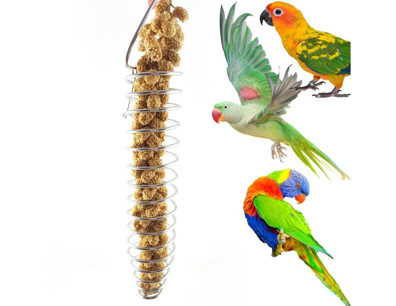 Portable Stainless Steel Spiral Feeder Birds Parrot Pet Food Fruit Holder Toy
