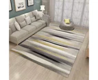 Carpet Entrance Door Floor Mat Modern Simple Doormat Non-slip Floor Mat Living Room Bedroom Decor Rug （120 x 160cm, TM896）