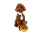 Bitcoin Large Soft Plush Dog & Puppy Toy (FuzzYard)