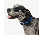 Rogz Large Navy Paws Dog & Puppy Collar (20mm x 34 to 56cm) Fancy Dress Beach Bum Beltz