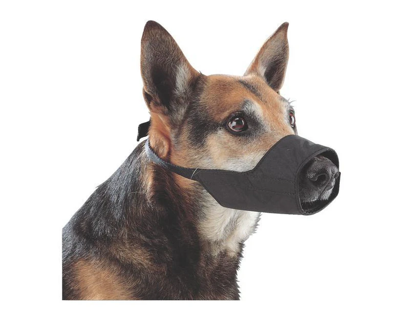 Nylon Dog Muzzle - Size 8 (Staffy - Short Muzzle) Henry Schein