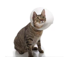 Elizabethan Cone of Shame E-Collar for Dogs - 15cm (Buster Clic) (Kruuse)
