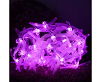 1PCS Solar Dragonfly Light String-6.5m 30 Lights Dragonfly [8 Functions Solar] Purple