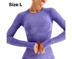2 pieces/1 set of  Women Seamless Workout Outfits Athletic Set Leggings + Long Sleeve Top Sports Running Yoga Wear-L