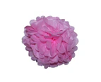 6pce 35cm Light Pink Tissue Paper Pompom for Weddings, Birthday, Xmas Events - Light Pink