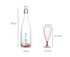 6-piece set (5 wine glasses + 1 wine bottle container) travel portable champagne glass set ideal for picnics outdoor pool, BBQ, garden, washable