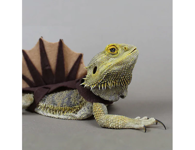 Lizard Costume Realistic Comfortable Touch Dinosaur Shape Reptile Bearded Dragon Lizard Apparel Clothes Outfits for Fun