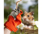 Anti-bite Gloves Absorbent Keep Warm Pet Grooming Mitt Small Animals Bonding Mitten for Sugar Glider Hamster Hedgehog Orange