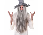 Wizard Long Grey Wig & Beard Set