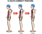 Posture Corrector, Straightener For Shoulder Strap Back Support, Xl