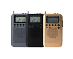 HRD-104 Mini Digital LCD Display Dual Band AM FM Stereo Radio Receiver - Grey