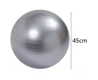 Exercise Ball and Yoga Ball ，for Workout Balance and Core Strength and Stability Ball with Pump -silver