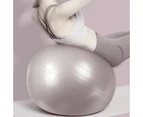 Exercise Ball Balance Ball with Pump for Yoga Pilates Stretching Fitness Home Gym Workout Training -silver frosted-65cm