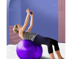 Exercise Ball Balance Ball with Pump for Yoga Pilates Stretching Fitness Home Gym Workout Training -purple frosted-65cm