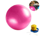 Exercise Ball, Yoga Ball Chair with Quick Pump, Stability Fitness Ball for Birthing & Core Strength Training & Physical Therapy -Pink
