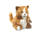 Folkmanis Cat Hand Puppet - Orange Tabby