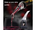 Spout Drip-free Wine Decanter Bottle Pourer, for Wine Instantly GiftRed Wine Decanter Chick Express - Gift Box