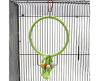 Bird Swing Toy Multifunctional Bite Resistant Exquisite Pet Circle Ring Climbing Toy for Cockatiel Green