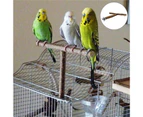 Wooden Stand Mini Wear-resistant Lightweight Bird Wooden Stand for Macaws