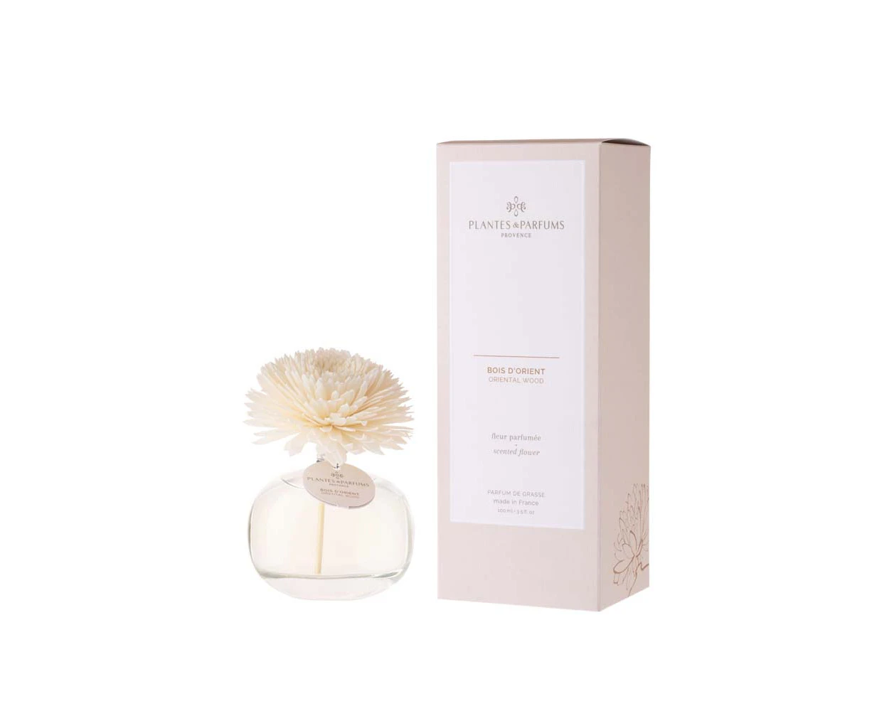 Plantes & Parfums 100ml Scented Flower Diffuser - Oriental Wood