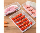 Sunshine Storage Container Odorless Large Capacity PP Transparent Storage Container for Kitchen- Big Size