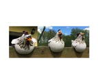 2 Pcs Duck Garden Statues Decorations Resin Male Duck Ornaments Animal Sculptures Cute Figurines