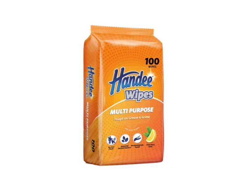 Handee Multi Purpose Cleaning Wipes 100 Pack x 6