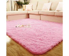 Rugs for Bedroom, Fluffy Shaggy Soft Area Rug, Non-Slip Indoor Floor Carpet for Living Room, Kids Dorm Home Decor Aesthetic, Nursery,100 x 200cm TW-419