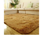 Rugs for Bedroom, Fluffy Shaggy Soft Area Rug, Non-Slip Indoor Floor Carpet for Living Room, Kids Dorm Home Decor Aesthetic, Nursery,100 x 200cm TW-419