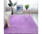 Soft Rug Fluffy Area Rug Floor Mat Shaggy Rug Luxury Carpets for Bedroom Sofa Living Room Floor 100 x 150CM Ta-780