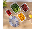 Sunshine Refrigerator Food Case Double-layer Dustproof Smooth Surfece Filtering Multi Holes Refrigerator Storage Holder for Daily Use - M
