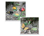 Bestjia Simulation Insect Model Butterfly Growth Cycle Figurine Kids Educational Toy - Black Ant