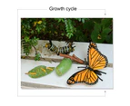 Bestjia Simulation Insect Model Butterfly Growth Cycle Figurine Kids Educational Toy - Black Ant