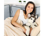 Cream Waterproof Pet Blanket Soft Plush Throw Protects Couch Chairs Car Bed