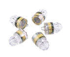 LED Fishing Lights-Water-Triggered Design and Seven Sealed Diamond LED Water(5PCS)