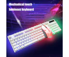 Bluebird Luminous Wired Gaming Keyboard Mouse Set with USB Interface Computer Accessories - White