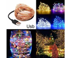Sunshine 5/10m Waterproof USB LED Copper Wire Fairy String Lights Garland Decoration-White 10M 100LED