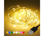 Sunshine 5/10m Waterproof USB LED Copper Wire Fairy String Lights Garland Decoration-Green 10M 100LED