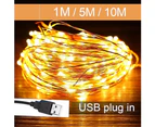 Sunshine 5/10m Waterproof USB LED Copper Wire Fairy String Lights Garland Decoration-Multicolor 10M 100LED