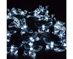 1Pcs Solar Butterfly String Lights - [Solar 8 Modes] [6.5M 30 Lights] [White Butterfly]